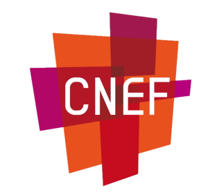 CNEF-logo sans ecriture avec arrière-plan supprimé